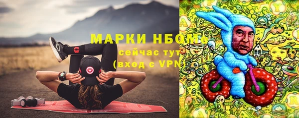 стаф Богданович