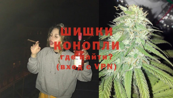 стаф Богданович
