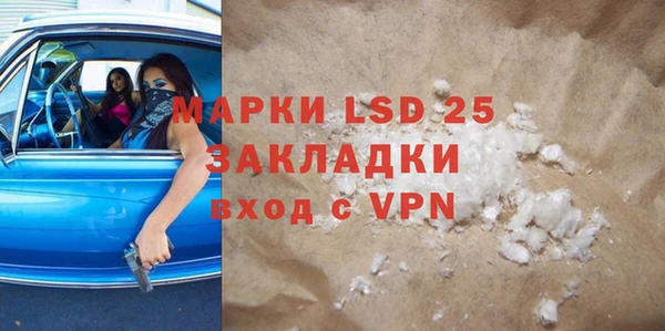 стаф Богданович