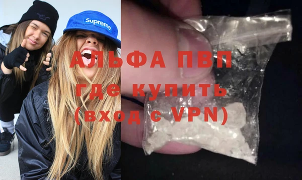 стаф Богданович